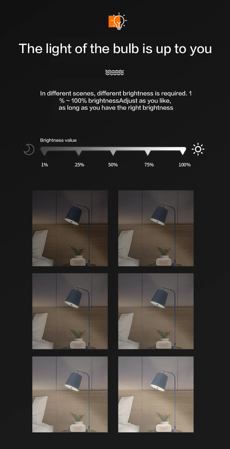 Smart LED Bulb Photo 6