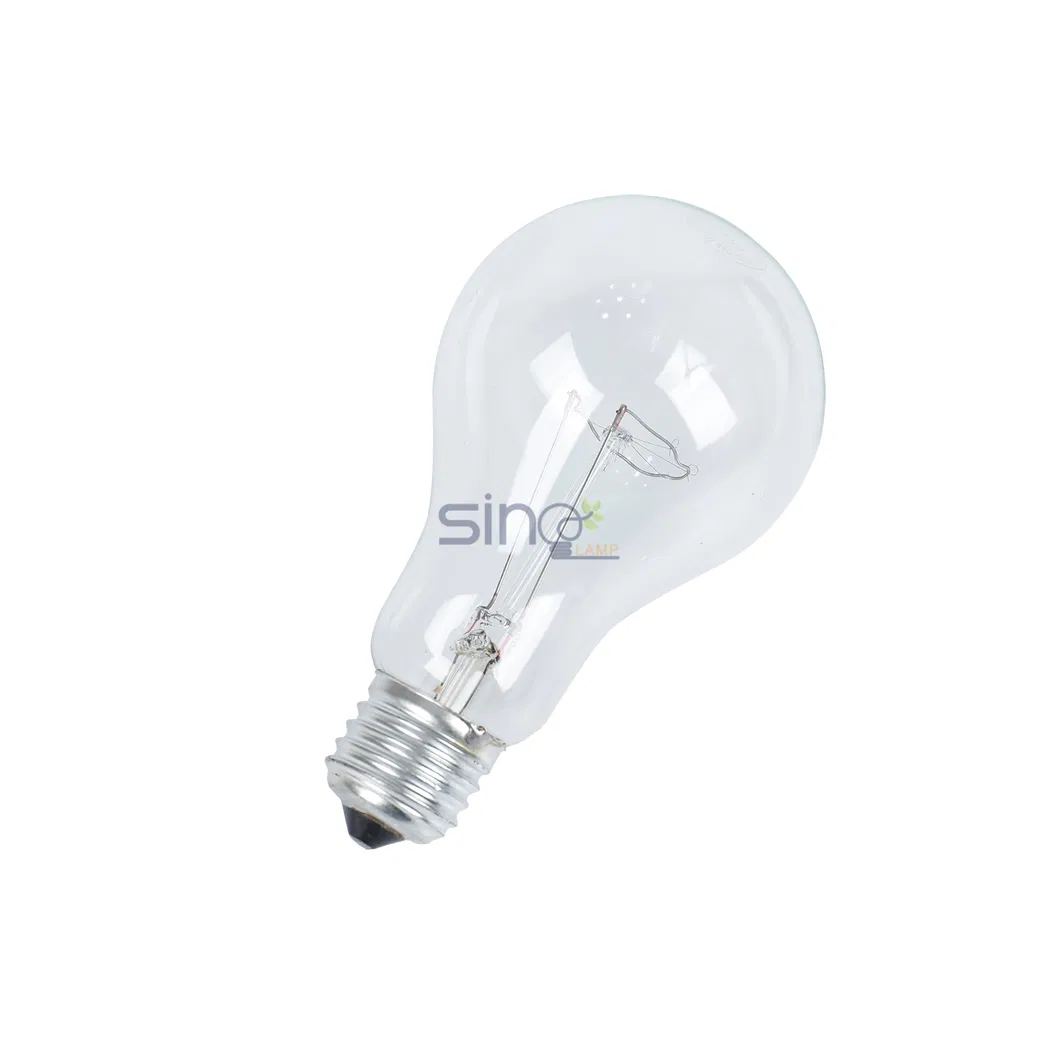 Incandescent Clear Light Bulb 1