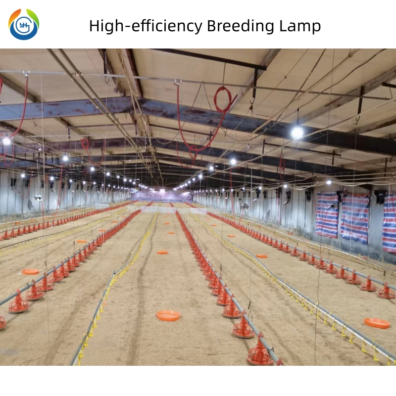 Waterproof and Dustproof Flicker Free Efficient LED Bulb for Broiler