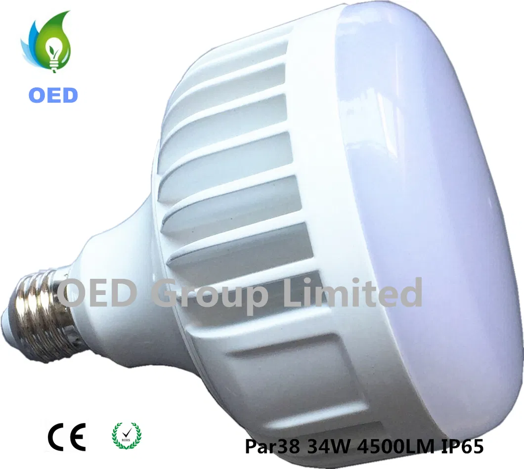 LED PAR 38 Lamp