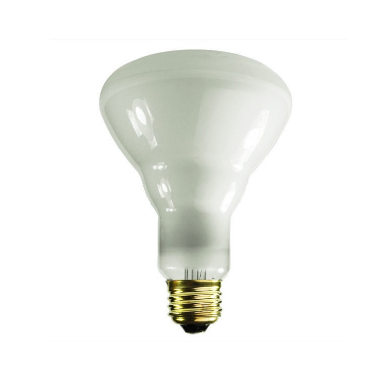 Br30 Flood Light Bulb 65W Incandescent Bulb