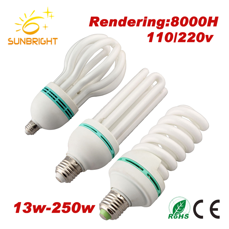 CFL Light Bulb with Price