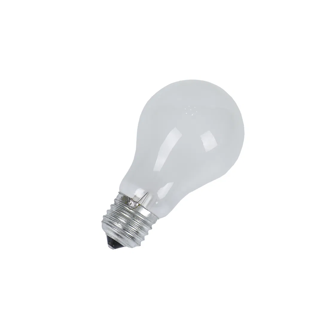 Incandescent Light Bulb Detailed View