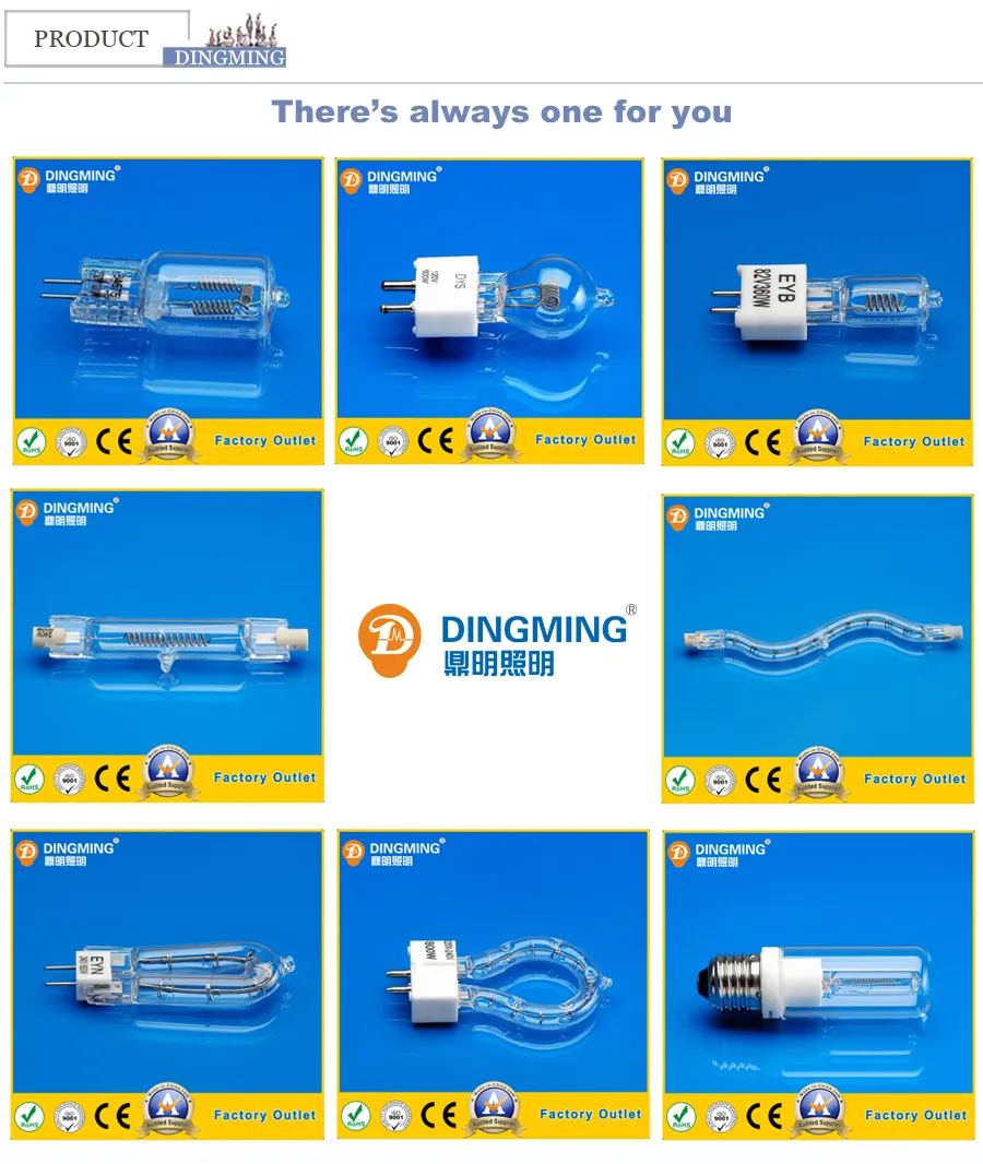 Halogen Light Bulb 1