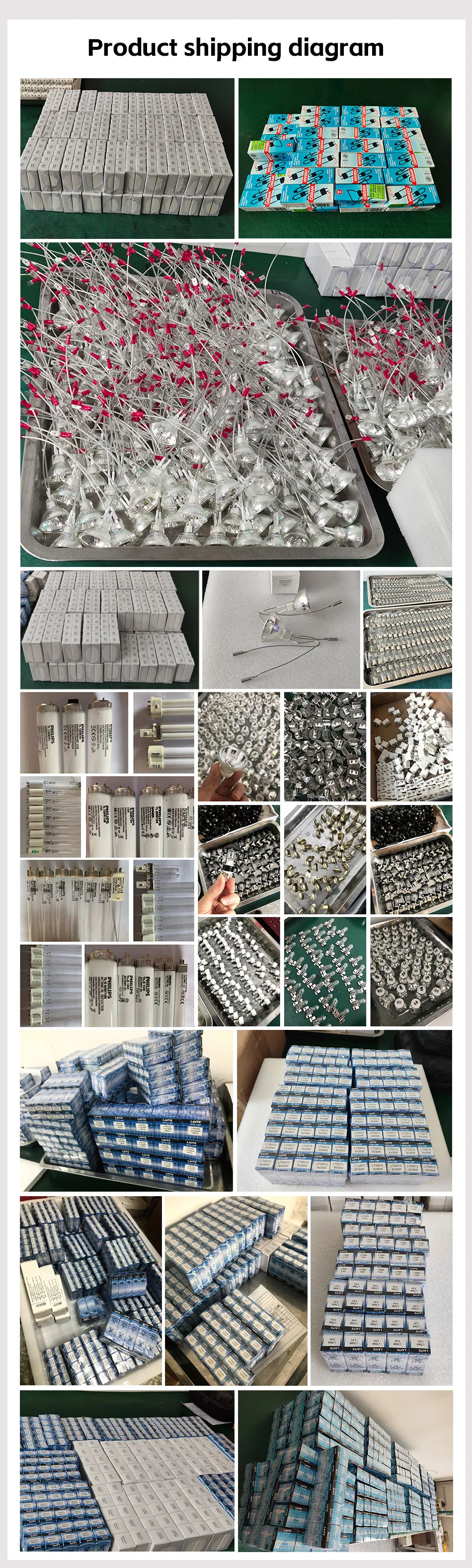 Full Production Line