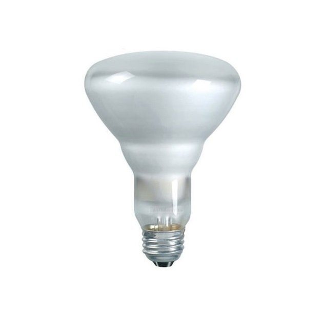 Br30 Flood Light Bulb 65W Incandescent Bulb