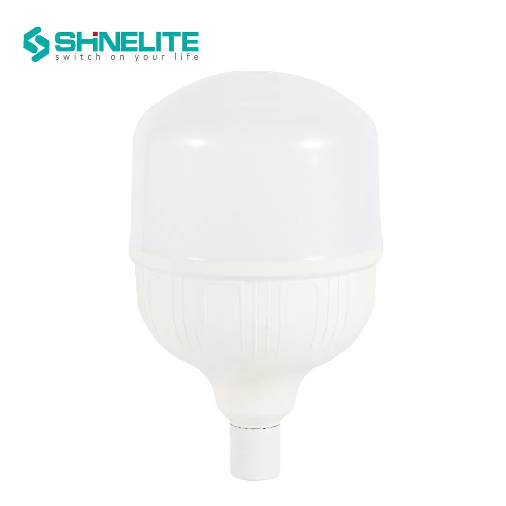 LED Light Bulb Display 3