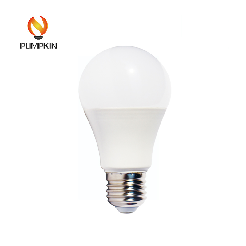 A60 9W Warm/White LED Light Bulb