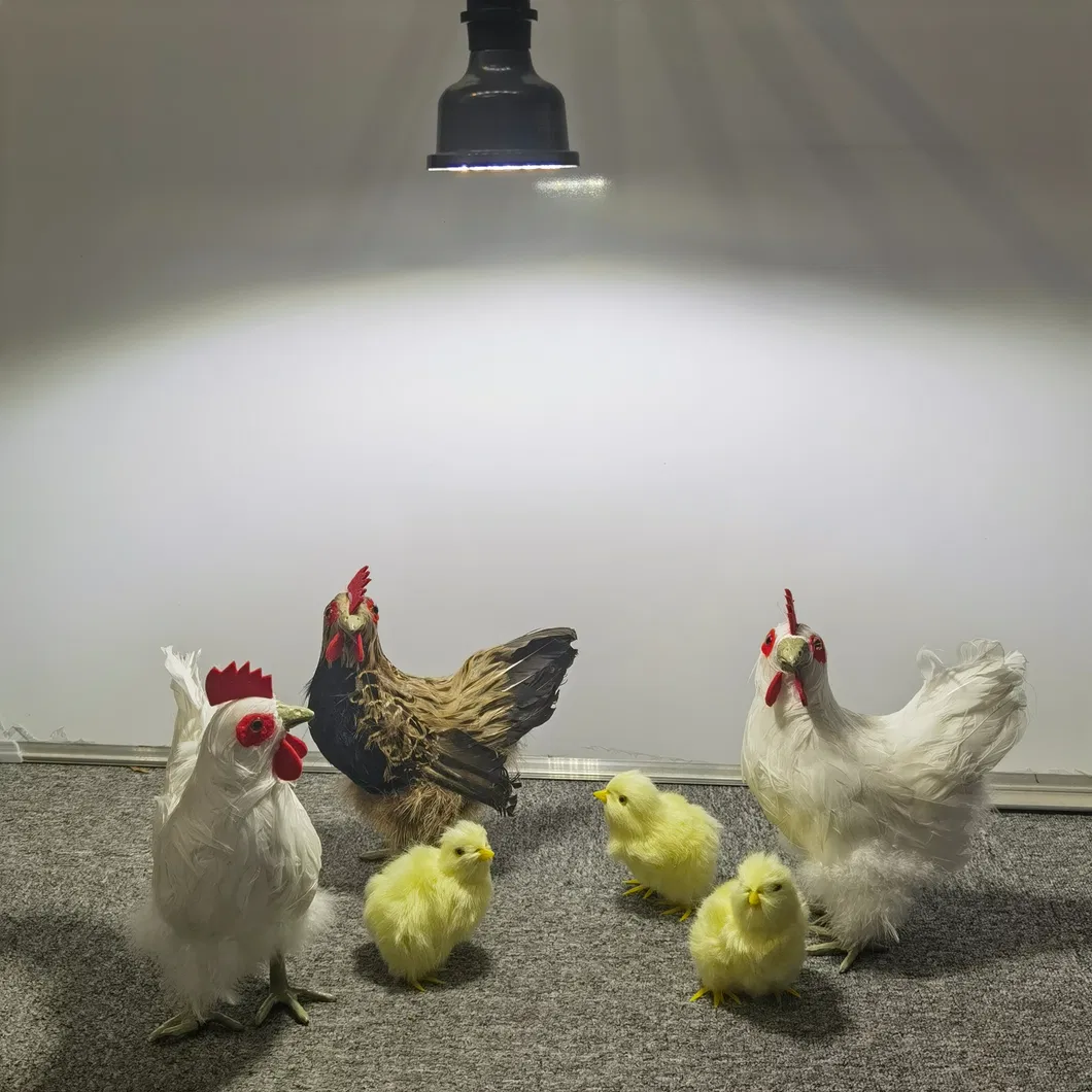 LED Poultry Light Bulb 2