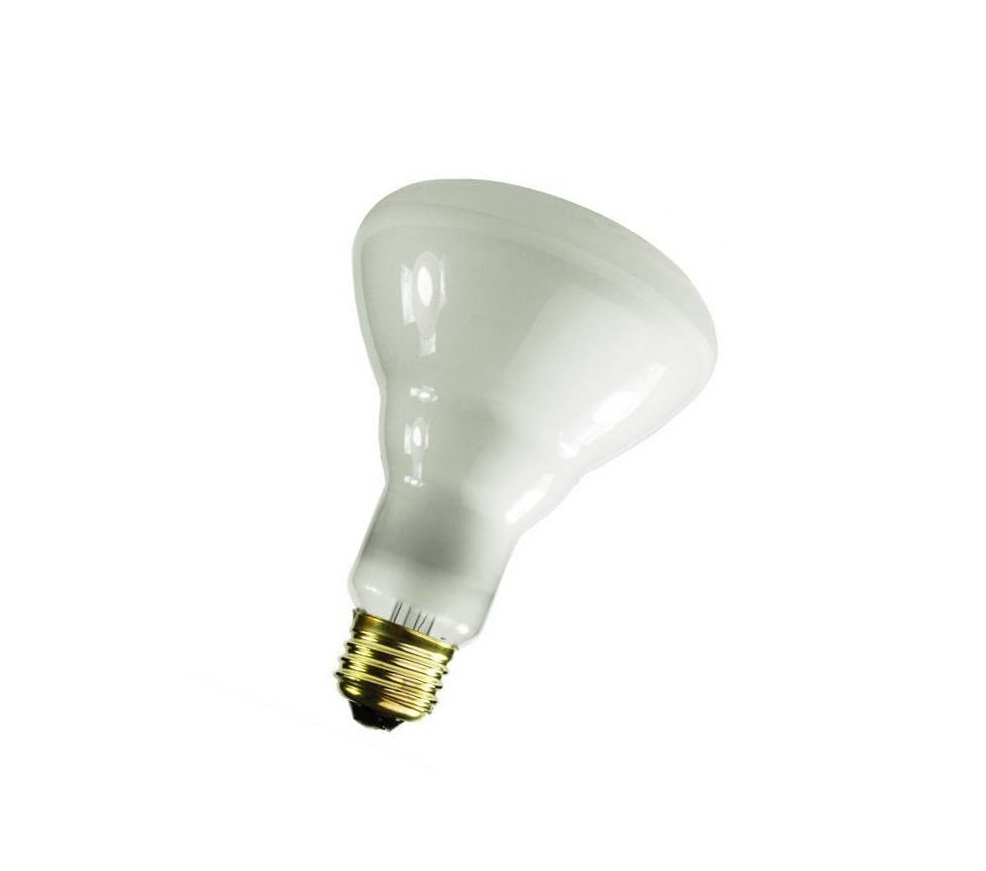 Br30 Flood Light Bulb 65W Incandescent Bulb