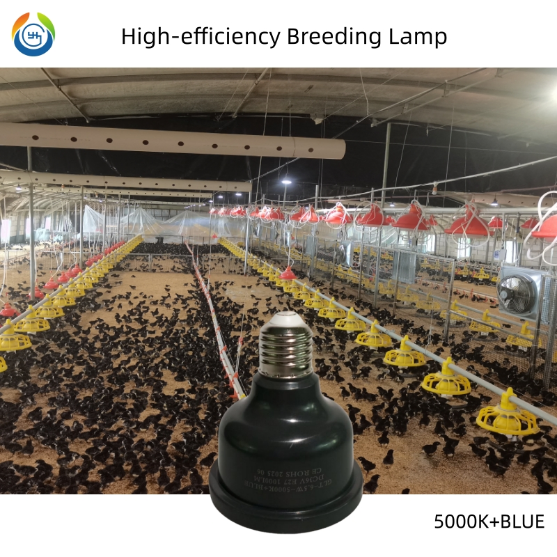 Waterproof and Dustproof Flicker Free Efficient LED Bulb for Broiler
