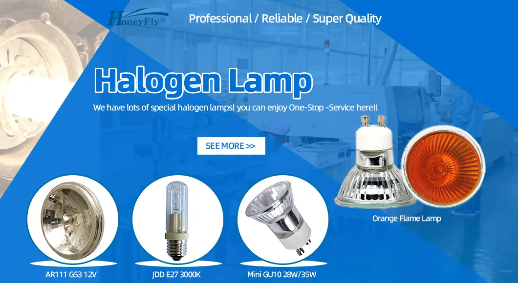 FDX Halogen Lamp Bulb