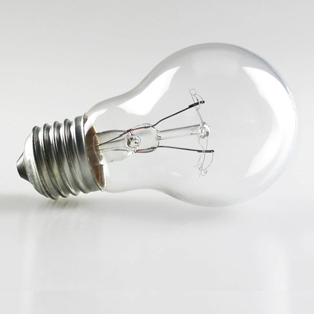 110V 220V Clear Light 40W 60W 75W 100W 150W 200W Incandescent Bulb