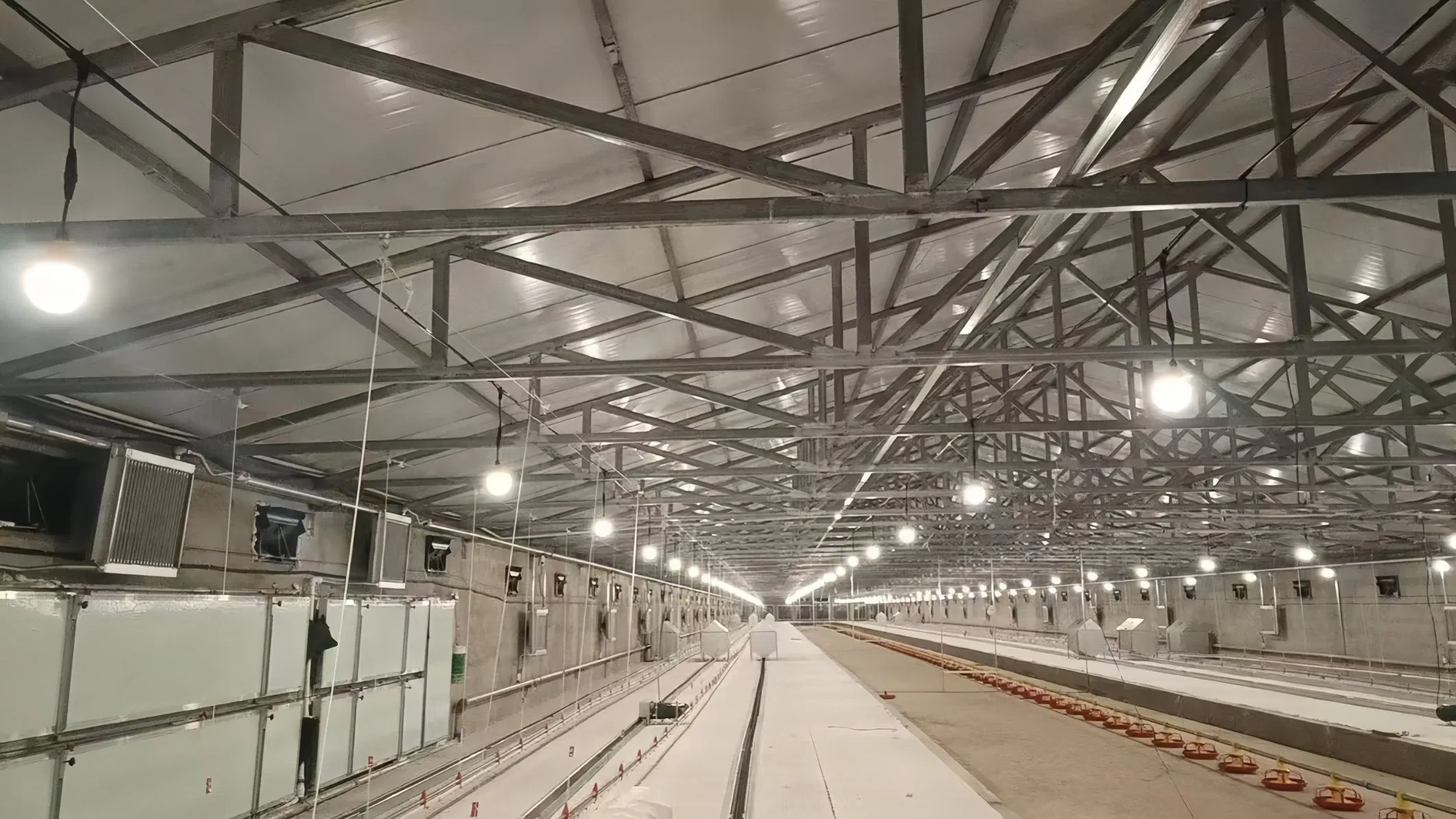 Agrieso Dimmable Light 3000/6000K Flicker Free Layer Broiler Waterproof IP67 LED Poultry Farm Light Bulb