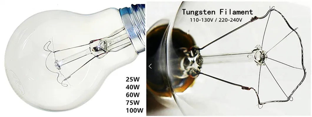 Tungsten Filament Detail