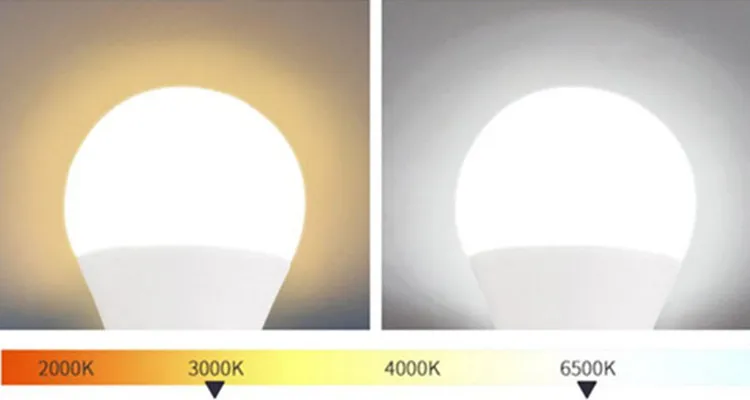 LED Light Bulb Details