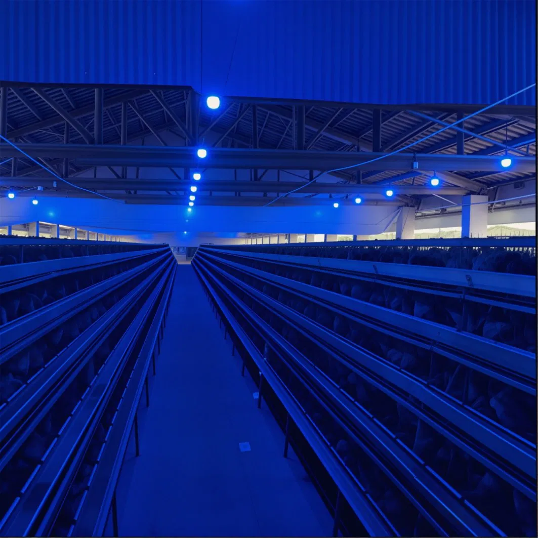 Farm-Grade Poultry LED Bulb A60 6W 7W 0-100% Dimmable Flicker-Free