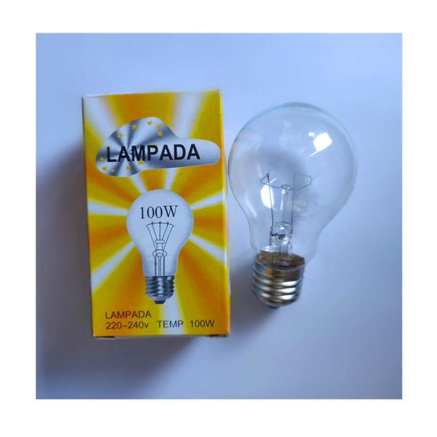 A60 Incandescent Bulbs Light Clear Glass 100W 240V