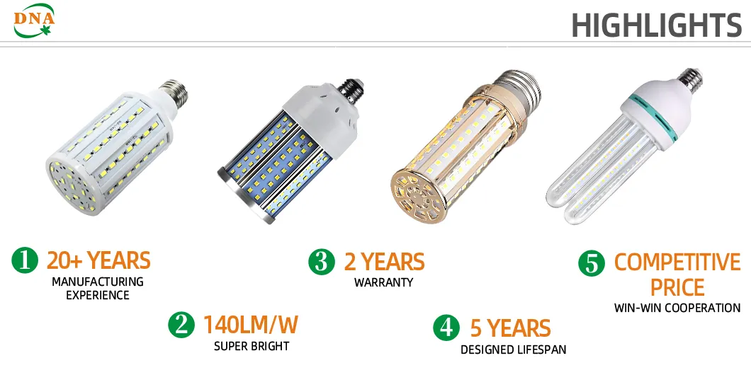 Sustainable Lighting Solutions