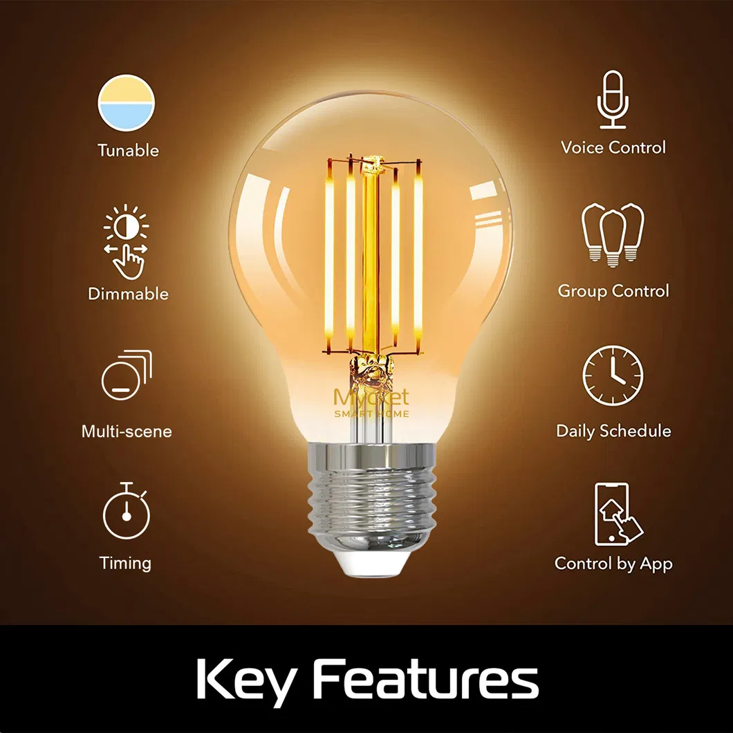 Smart LED Filament Bulb 1