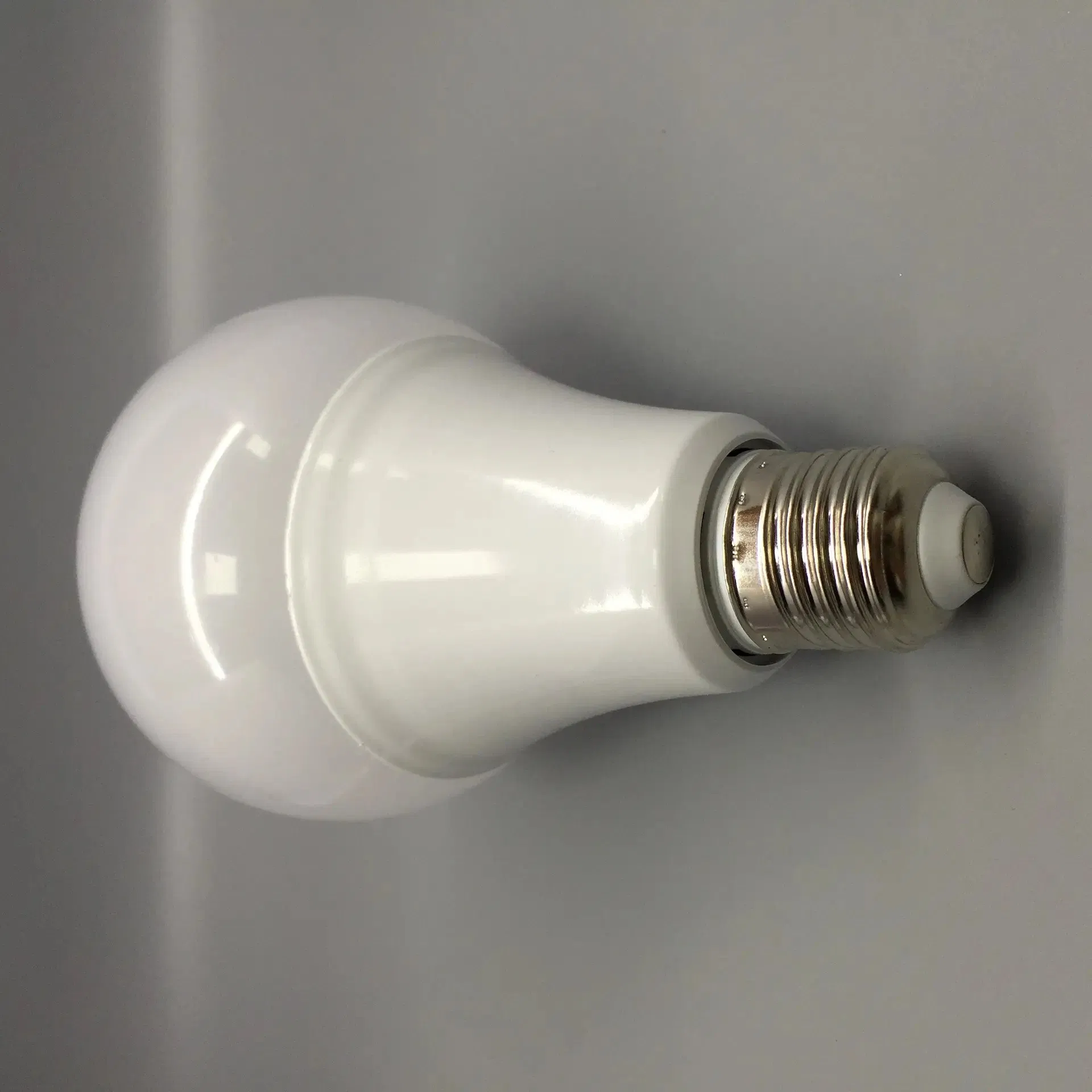 Low Voltage 12V 24V 36V LED Bulb Light