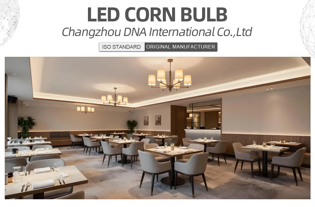Versatile LED CFL Bulb Light