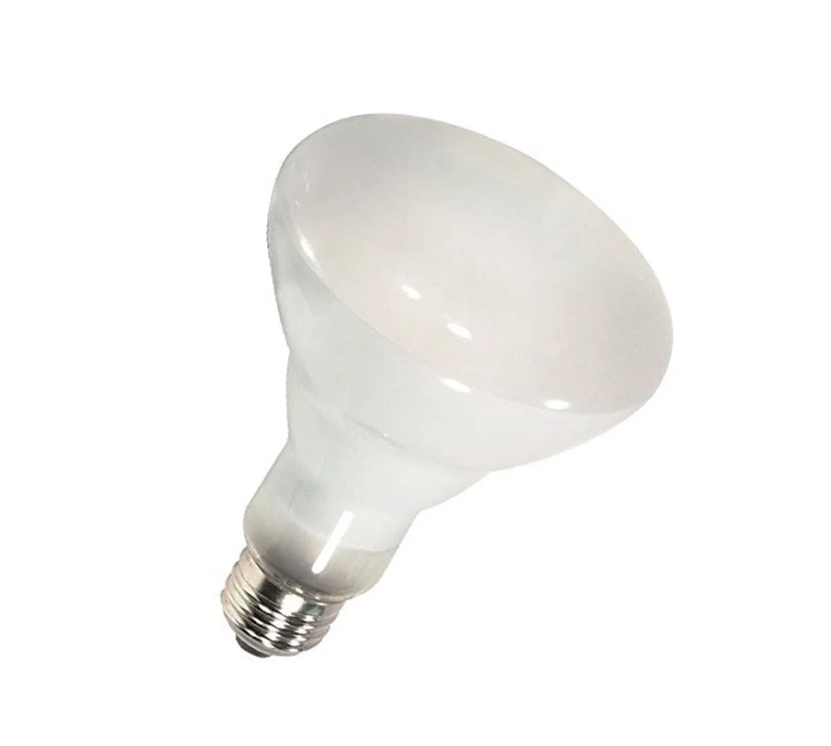Br30 Flood Light Bulb 65W Incandescent Bulb