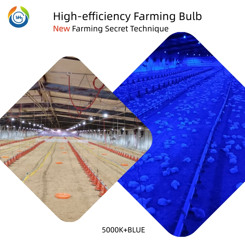 Waterproof and Dustproof Flicker Free Efficient LED Bulb for Broiler