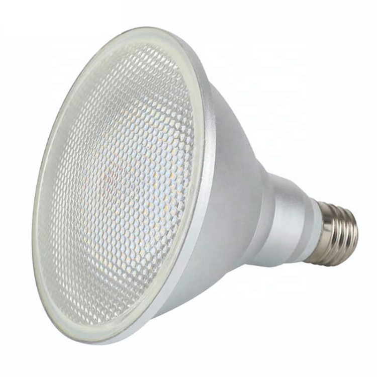 LED Bulb PAR38 Spotlight