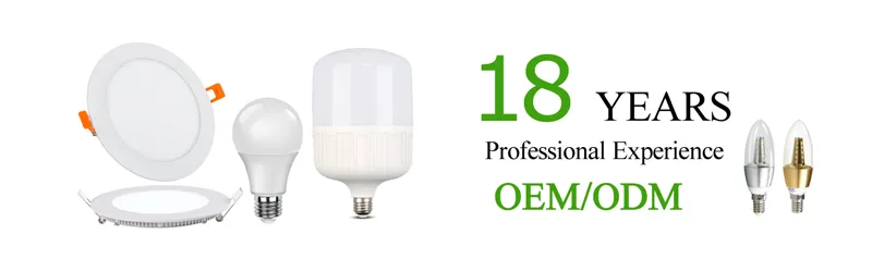 Rechargeable LED Light Bulb