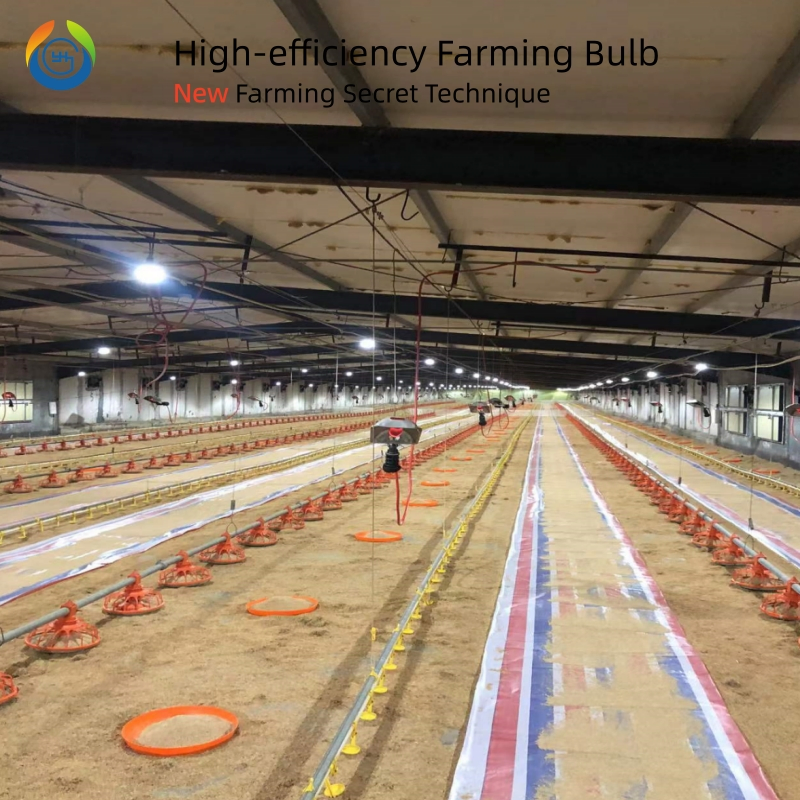 Waterproof and Dustproof Flicker Free Efficient LED Bulb for Broiler