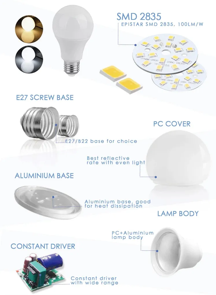 LED Bulb Display