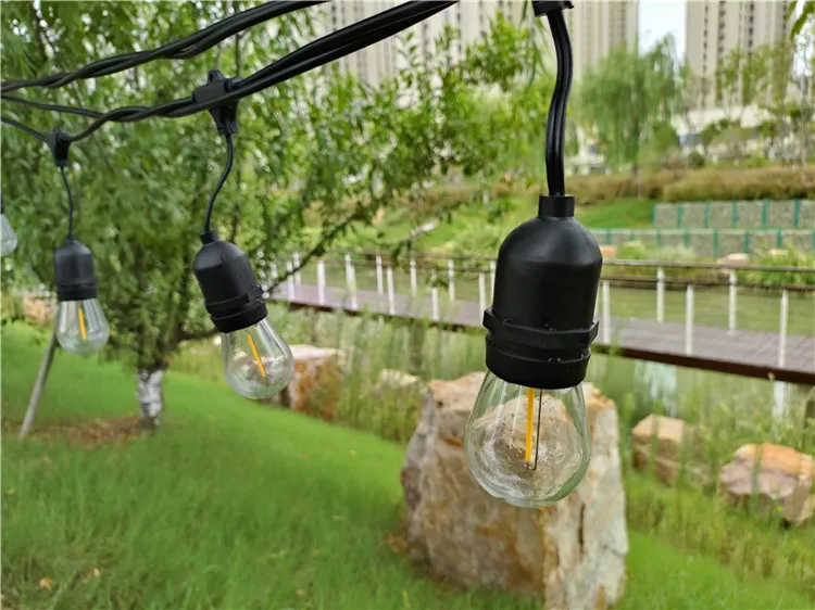 String Light Photo 2