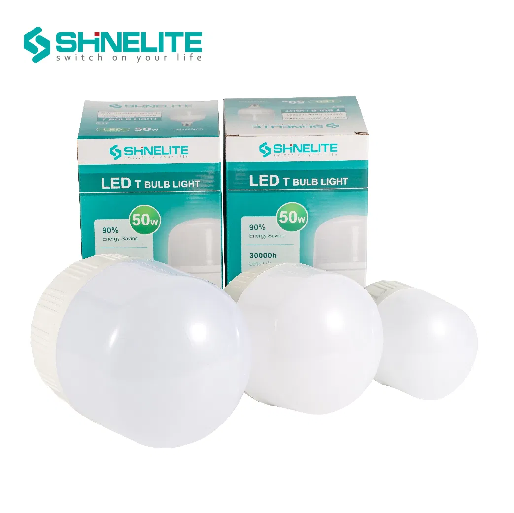 LED Light Bulb Display 5