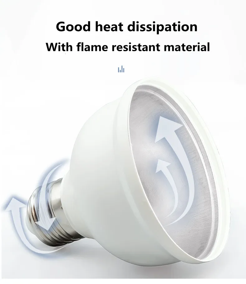 LED Bulb T100