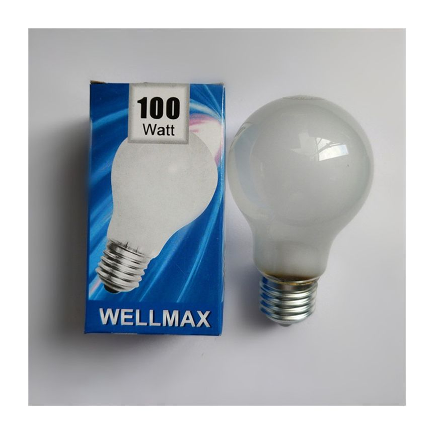 A60 Incandescent Bulbs Light Clear Glass 100W 240V