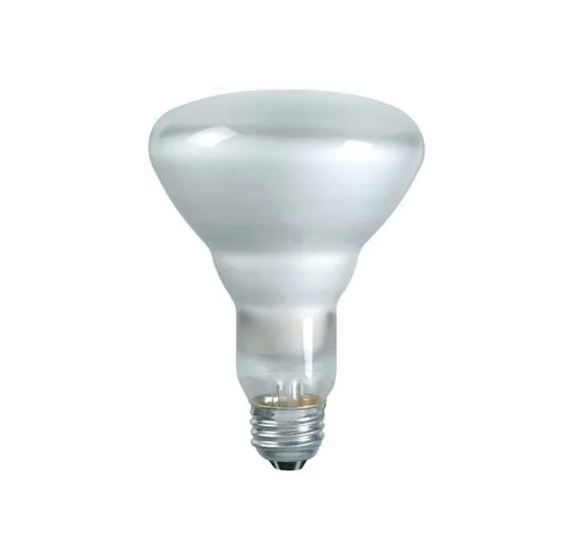 Br30 Flood Light Bulb 65W Incandescent Bulb