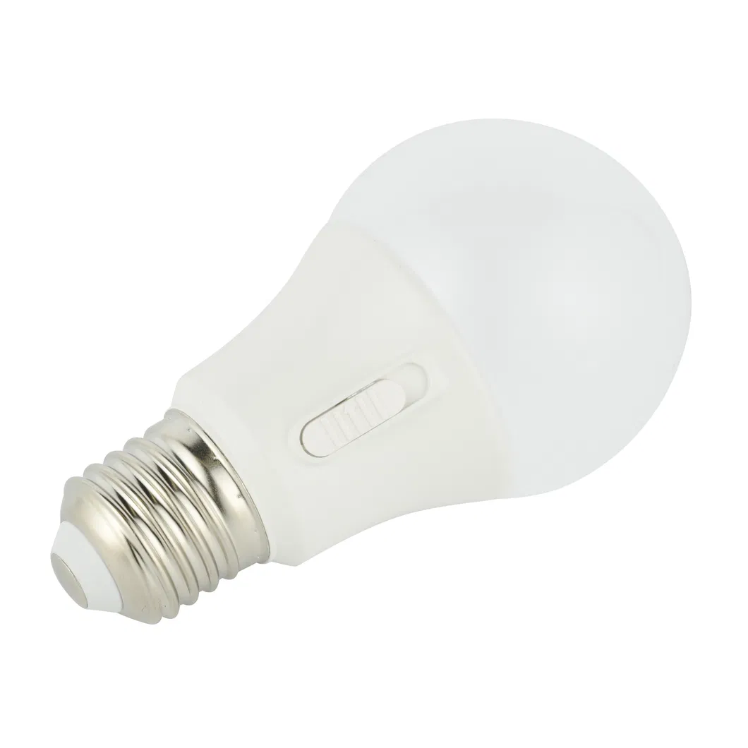 LED Bulb A60 A67 A80