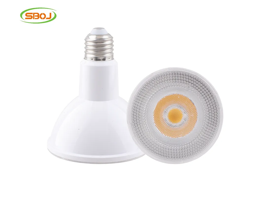 PAR30 LED Bulb Spotlight