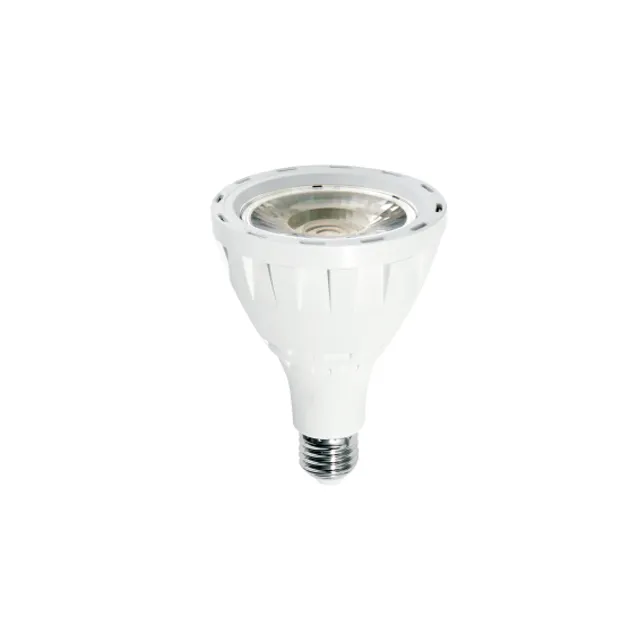 LED Spot Light
