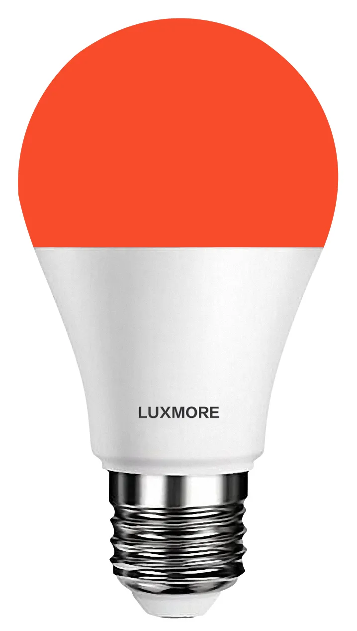 LED T80 Bulb