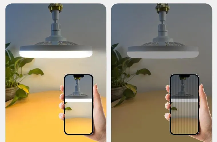 Modern Minimalist Design