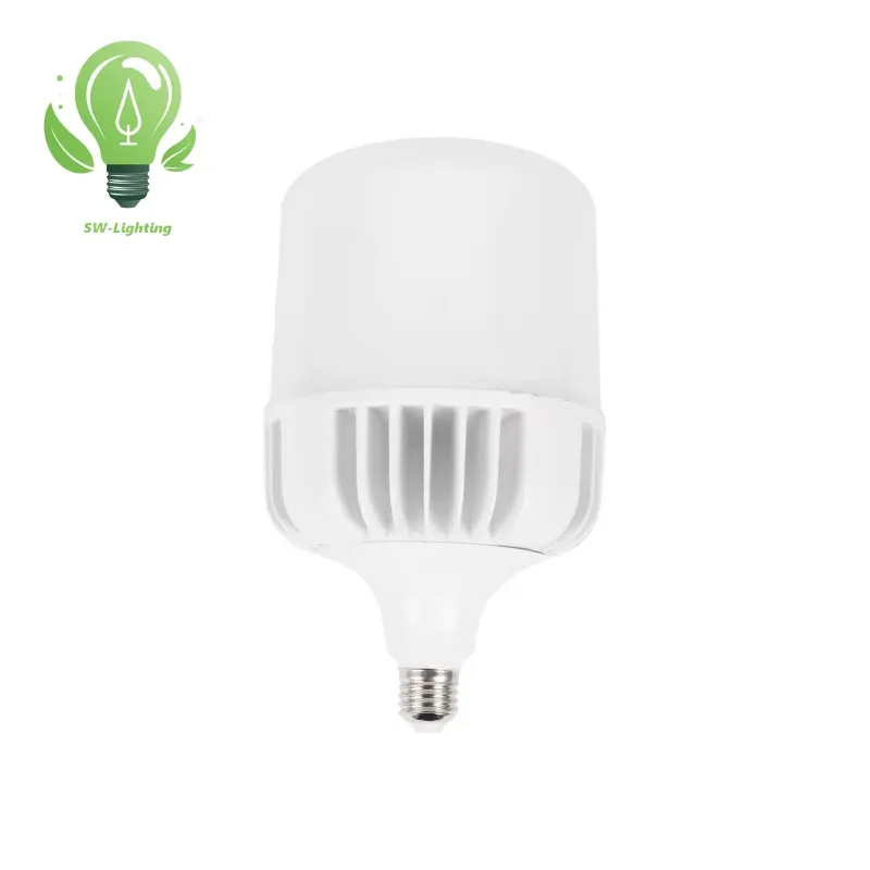 Ceiling Lamp Lighting