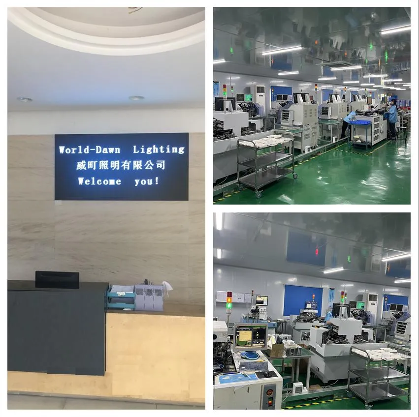 LED Filament Bulb Showcase 2