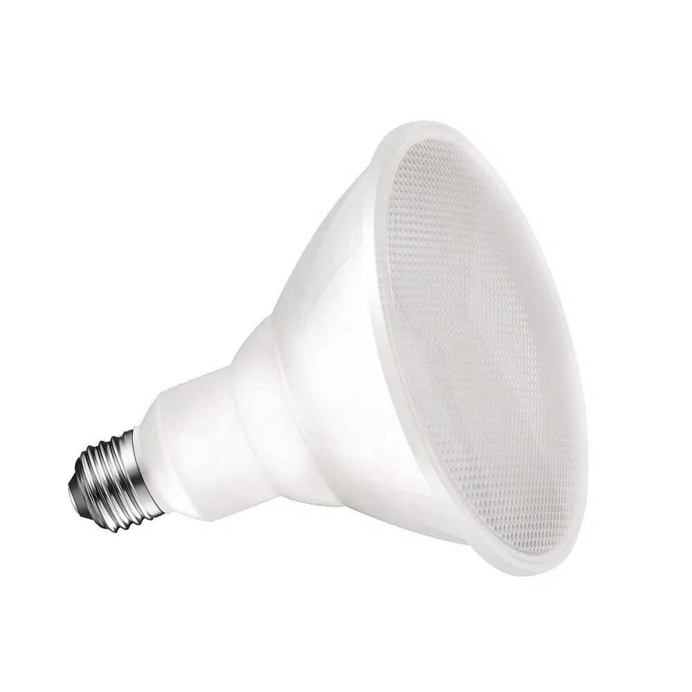 PAR30 LED Bulb Application