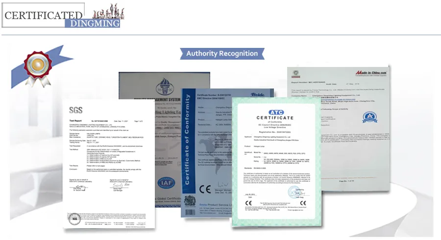 Halogen Light Bulb 5