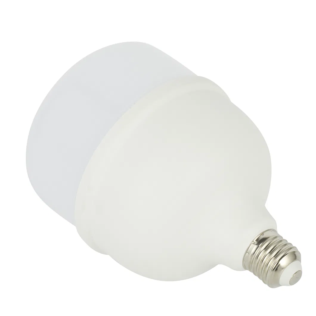 T100 LED Bulb