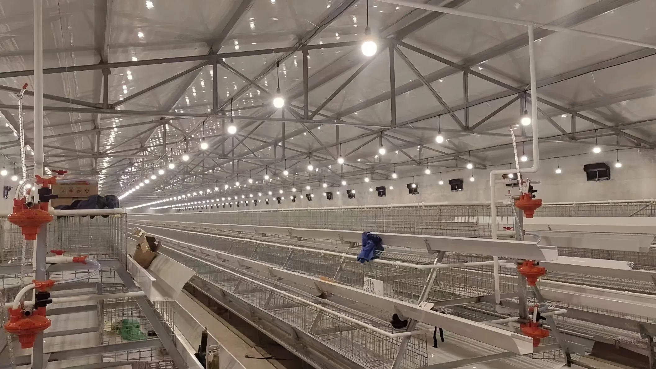 Agrieso Dimmable Light 3000/6000K Flicker Free Layer Broiler Waterproof IP67 LED Poultry Farm Light Bulb