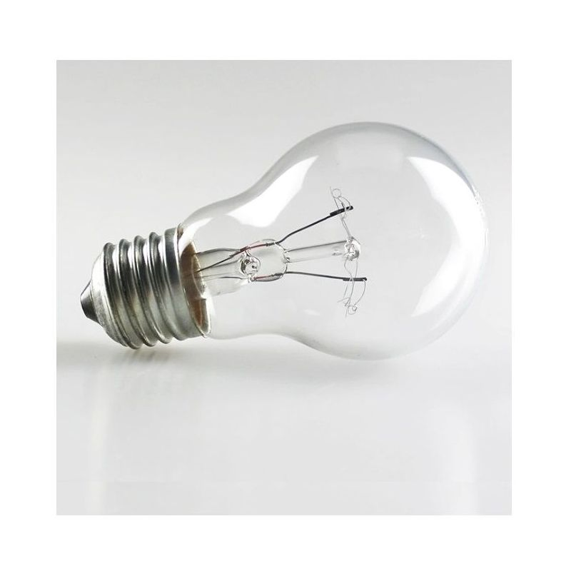 A60 Incandescent Bulbs Light Clear Glass 100W 240V