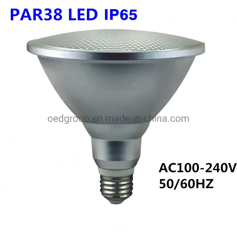 RGB PAR38 LED Bulb